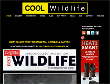 Tablet Screenshot of coolwildlife.com